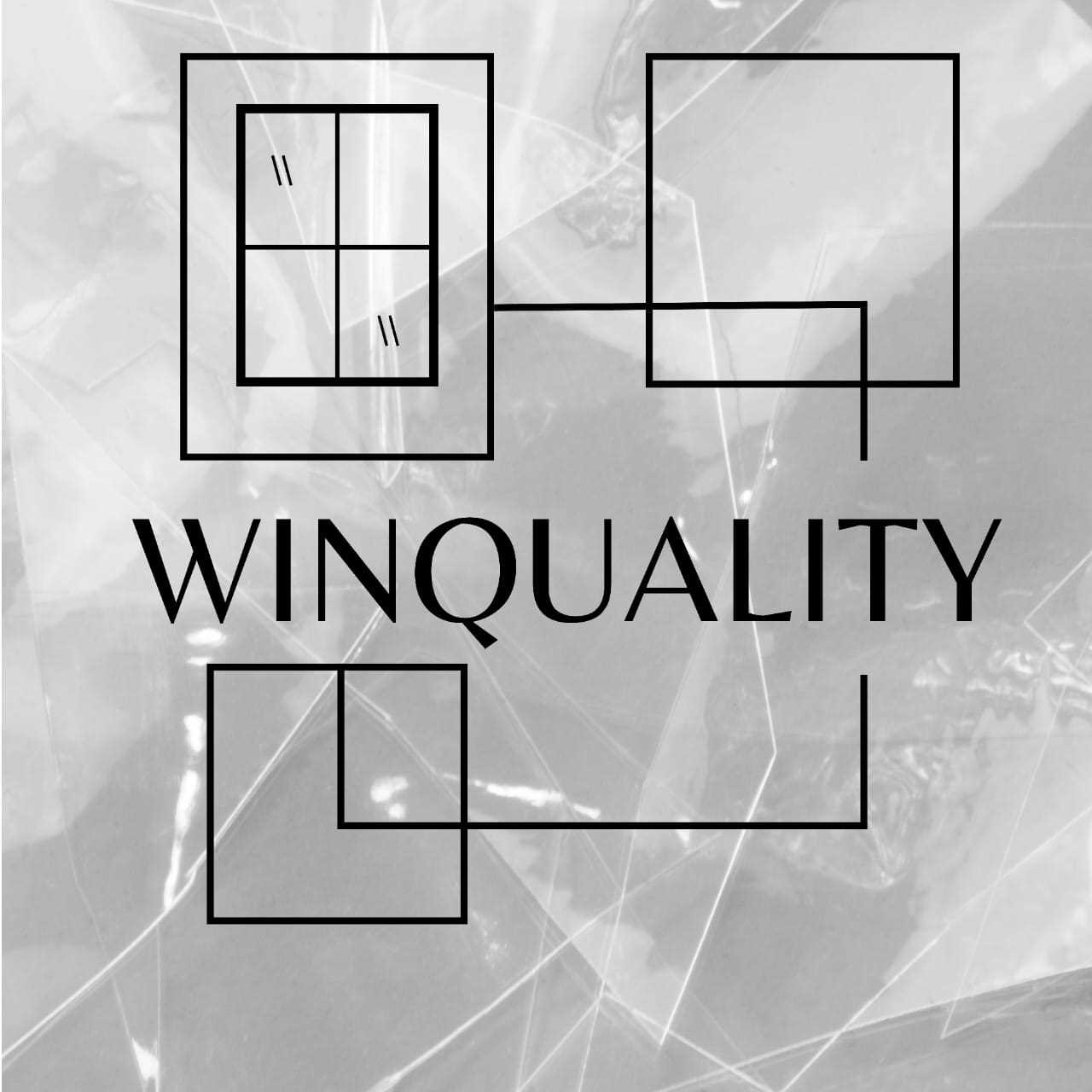 Logo Winquality SPA