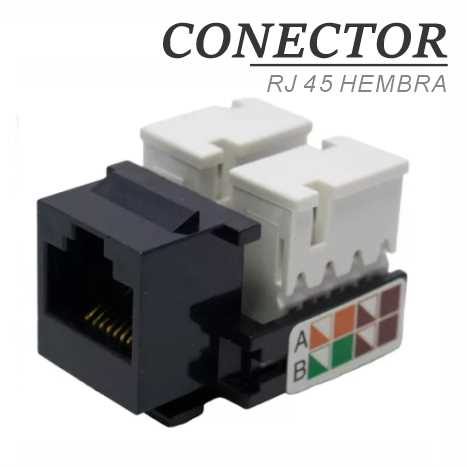 RG 45 HEMBRA